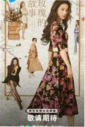 夫妻的世界剧集海报